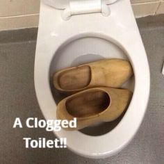 Clogged Toilet